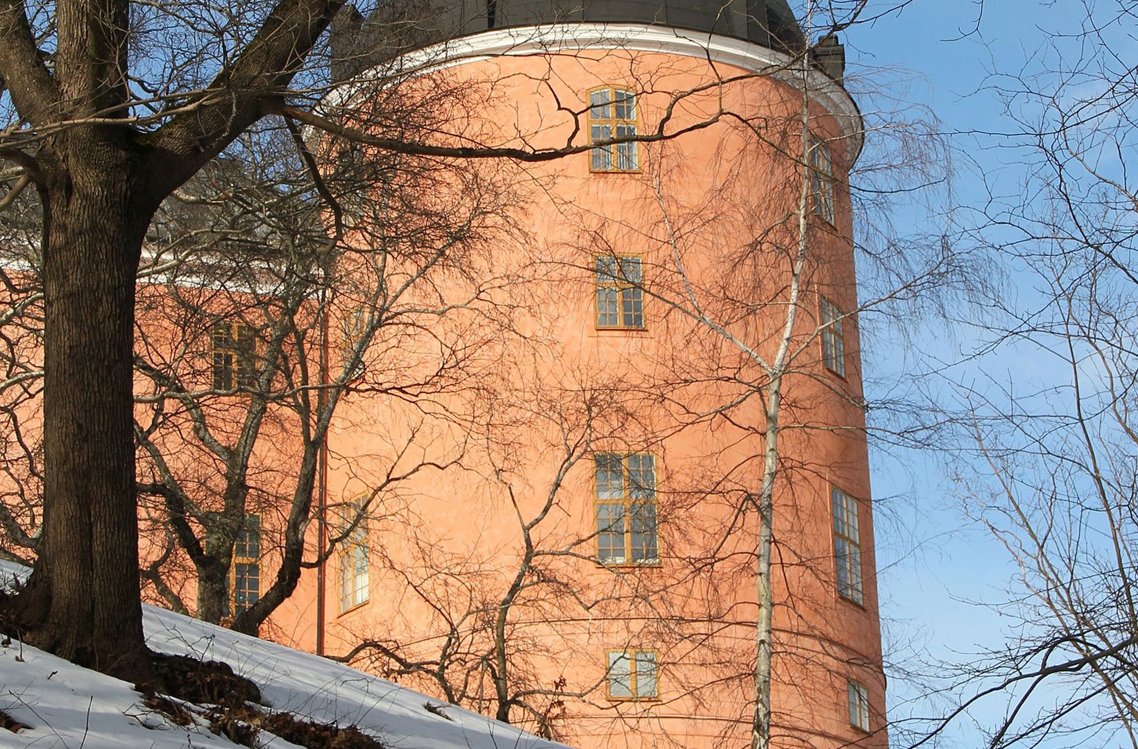 Uppsala slott