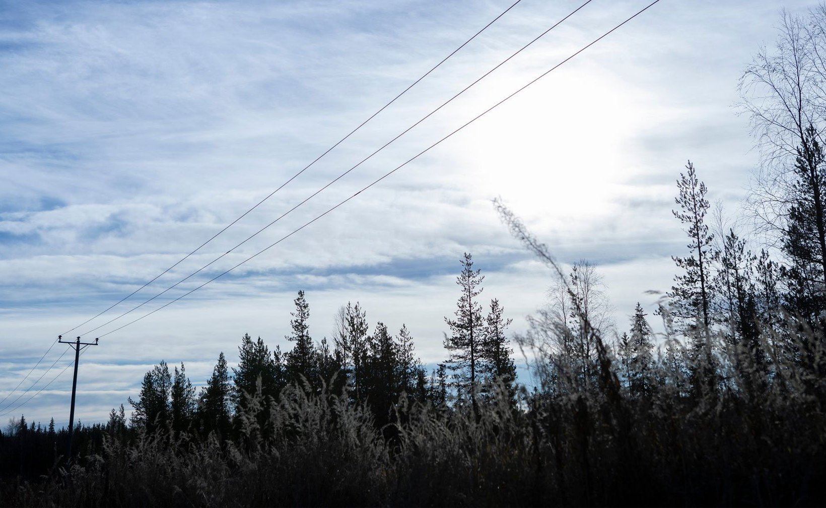 Kraftledningar över skogsområde i norra Sverige.