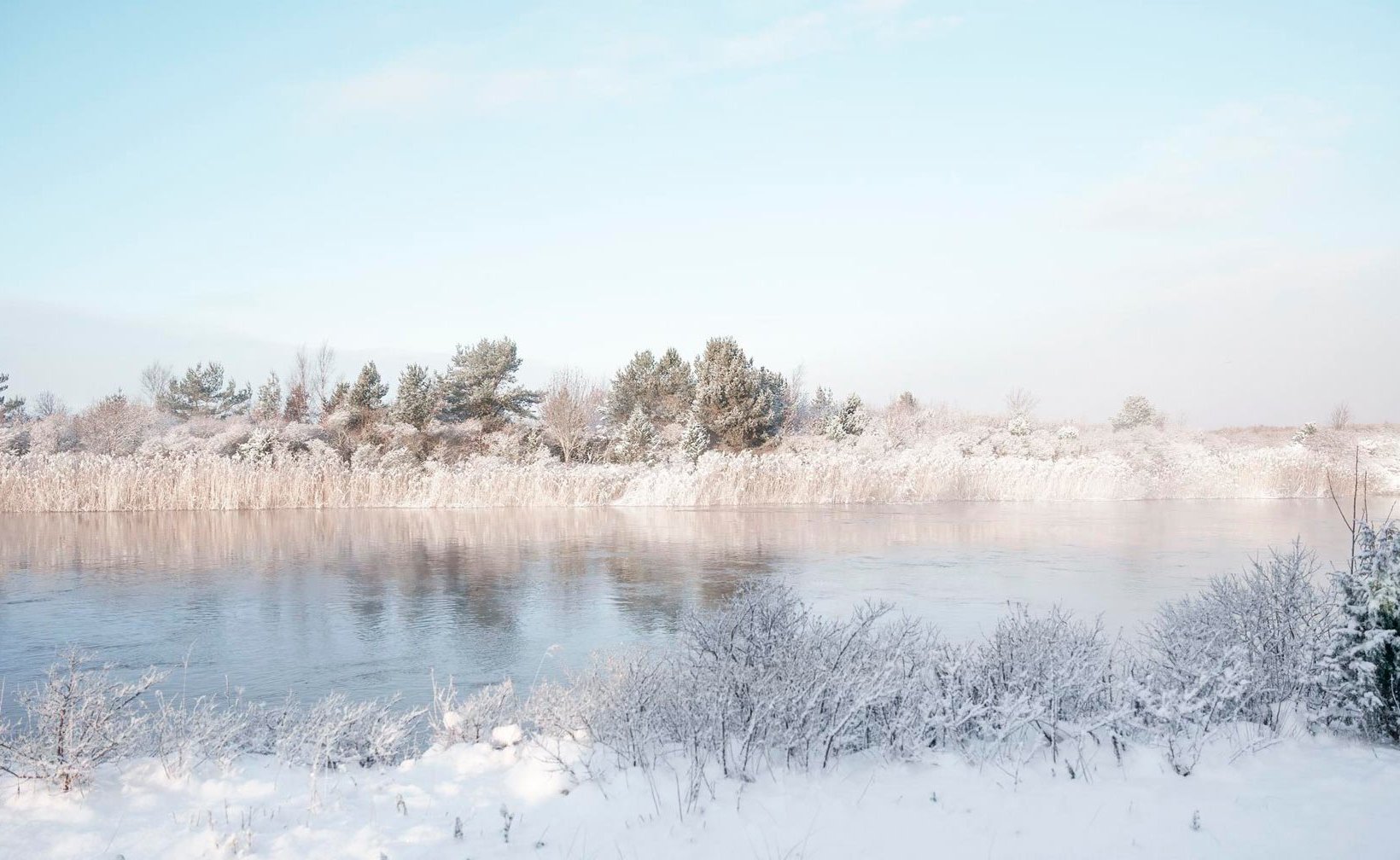 Frostiga träd som speglas i lugnt vatten under blek vinterhimmel. Frostiga träd som speglas i lugnt vatten under blek vinterhimmel.