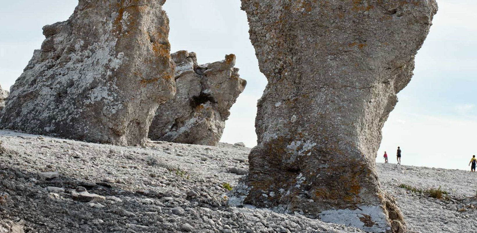 Gotländska raukar med tre personer på promenad i bakgrunden. Gotländska raukar med tre personer på promenad i bakgrunden.
