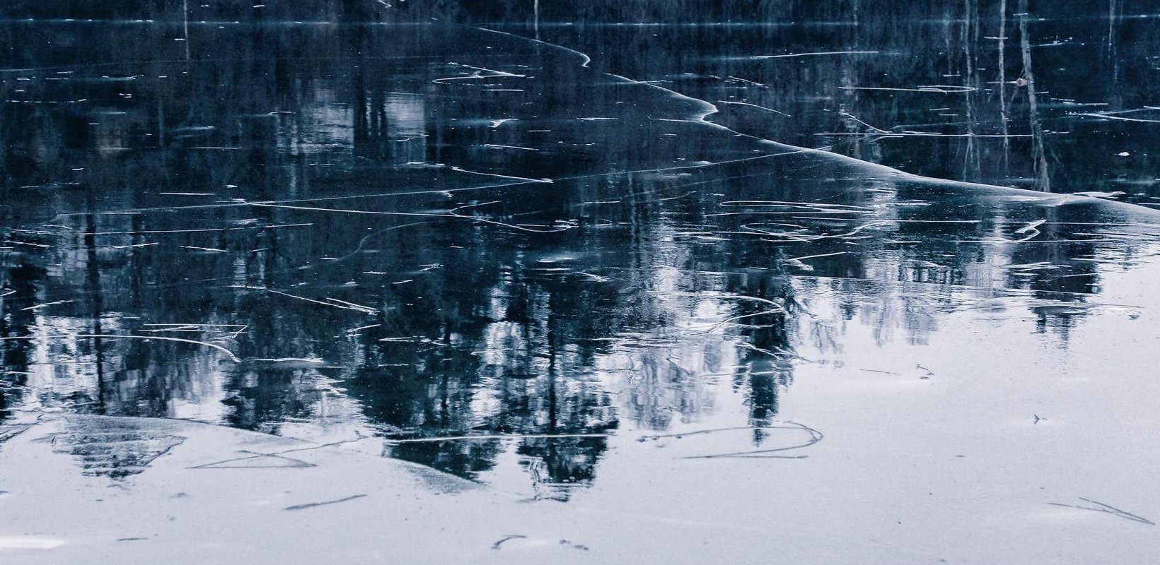 Träd som speglas i fruset vattendrag. Träd som speglas i fruset vattendrag.