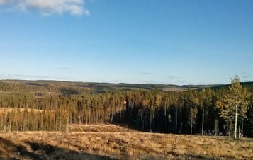 Vy över skogslandskap vid Stormyrberget