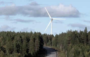 En skogsväg med ett vindkraftverk i bakgrunden