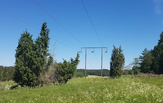 Kraftledningsgata med vildblommor och buskar under en klarblå himmel.