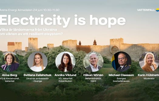 Sex talare på affisch för Vattenfalls seminarium i Almedalen 24 juni kl. 10.30–11.30 om lärdomar från Ukraina kring ett resilient elsystem, med Visbys ringmur i bakgrunden.