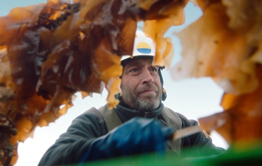 Seaweed farmer Mads Hecter 