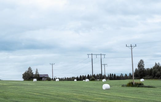 Kraftledningar över åkermark
