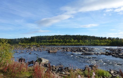 Purkijaure i Lilla Luleälven