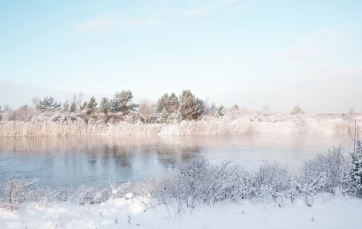 Frostiga träd som speglas i lugnt vatten under blek vinterhimmel.