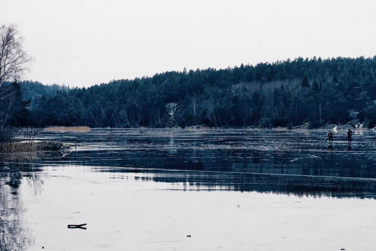 En frusen sjö med mörk skog i bakgrunden