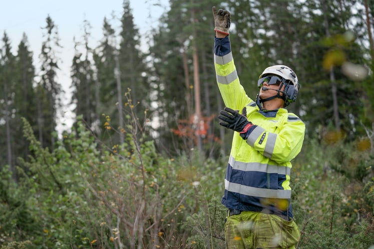 En fältarbetare i varselkläder i en skog.
