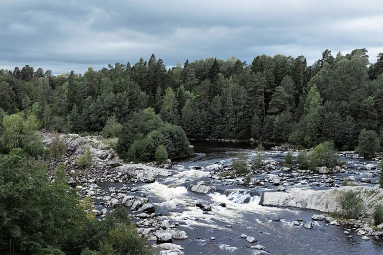 Strömmande vatten i Älvkarleby