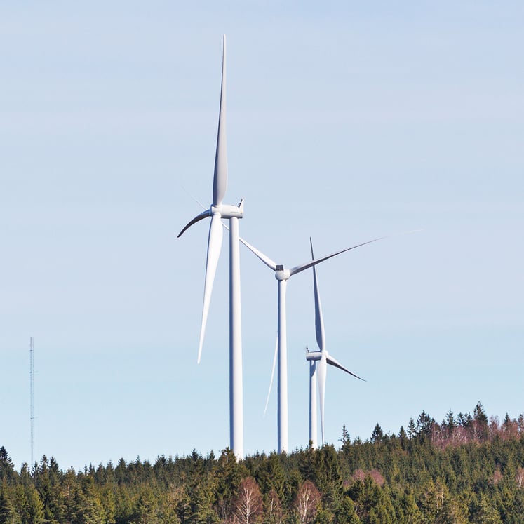 Tre vindkraftverk på en skogshöjd