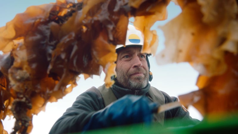 Mads Hecter, Kerteminde Seafarm Mads Hecter, Kerteminde Seafarm
