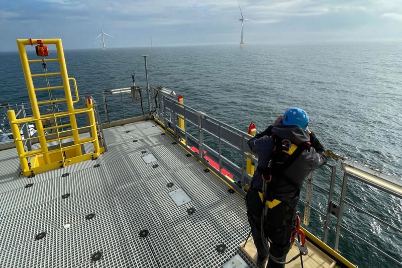 Expert från British Trust for Ornithology testar AI-kamera i Aberdeen Bay Expert från British Trust for Ornithology testar AI-kamera i Aberdeen Bay