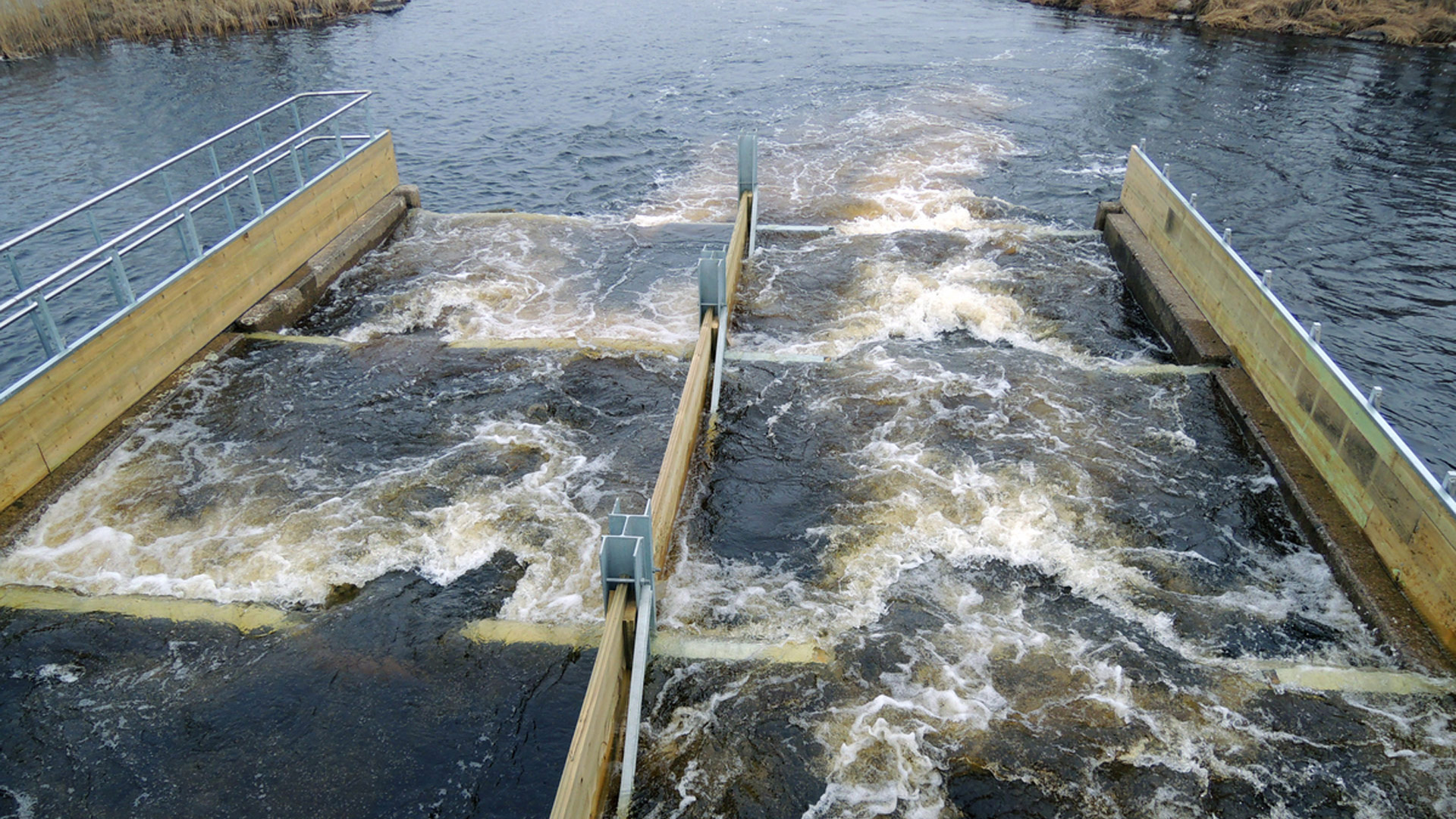 Fisktrappa i Vattenfalls kraftverk Söderfors