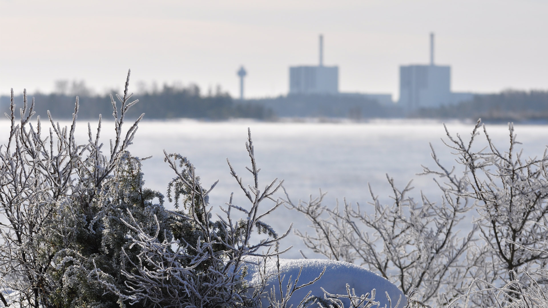 Vinterlandskap med kärnkraftverket Forsmark i bakgrunden. Foto: Hannah Nyberg
