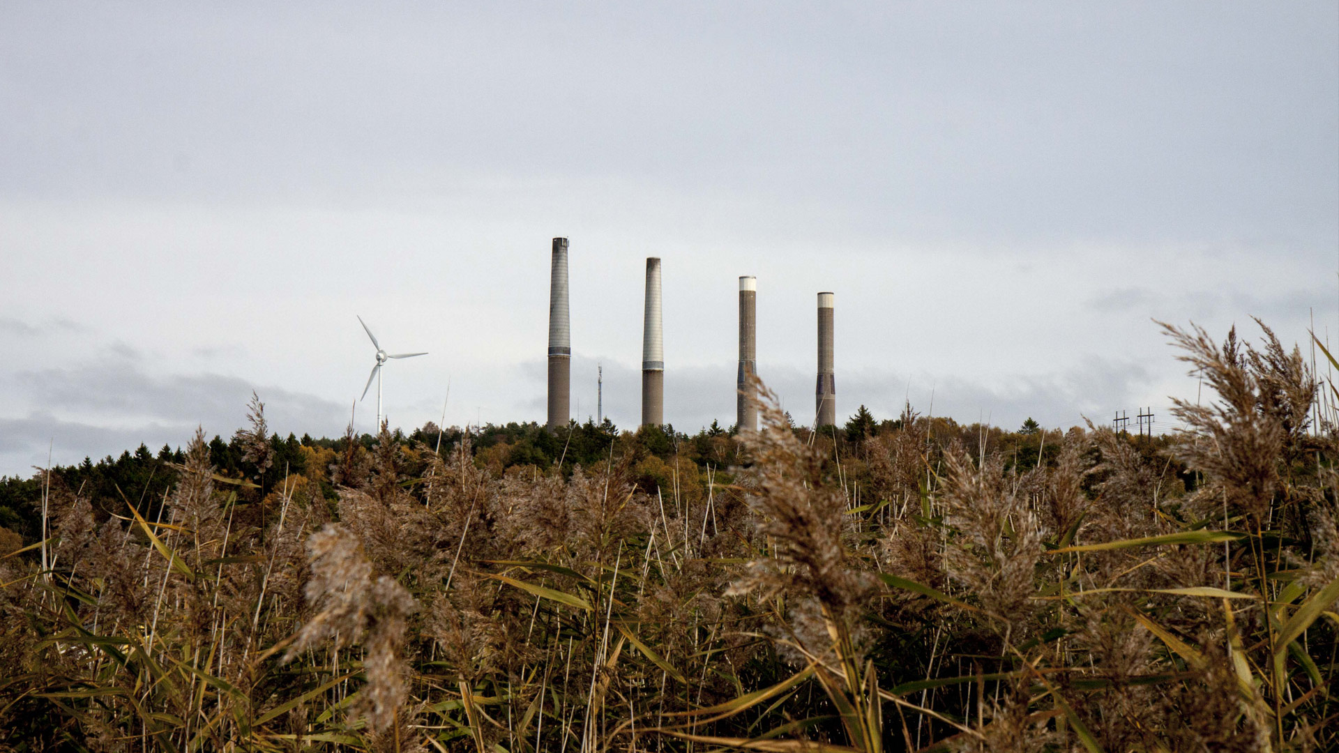 Stenungsund kraftverks fyra skorstenar. Foto: Niels Vester