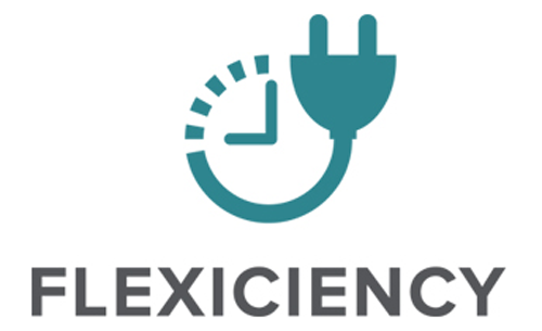 Flexiciency-logotyp