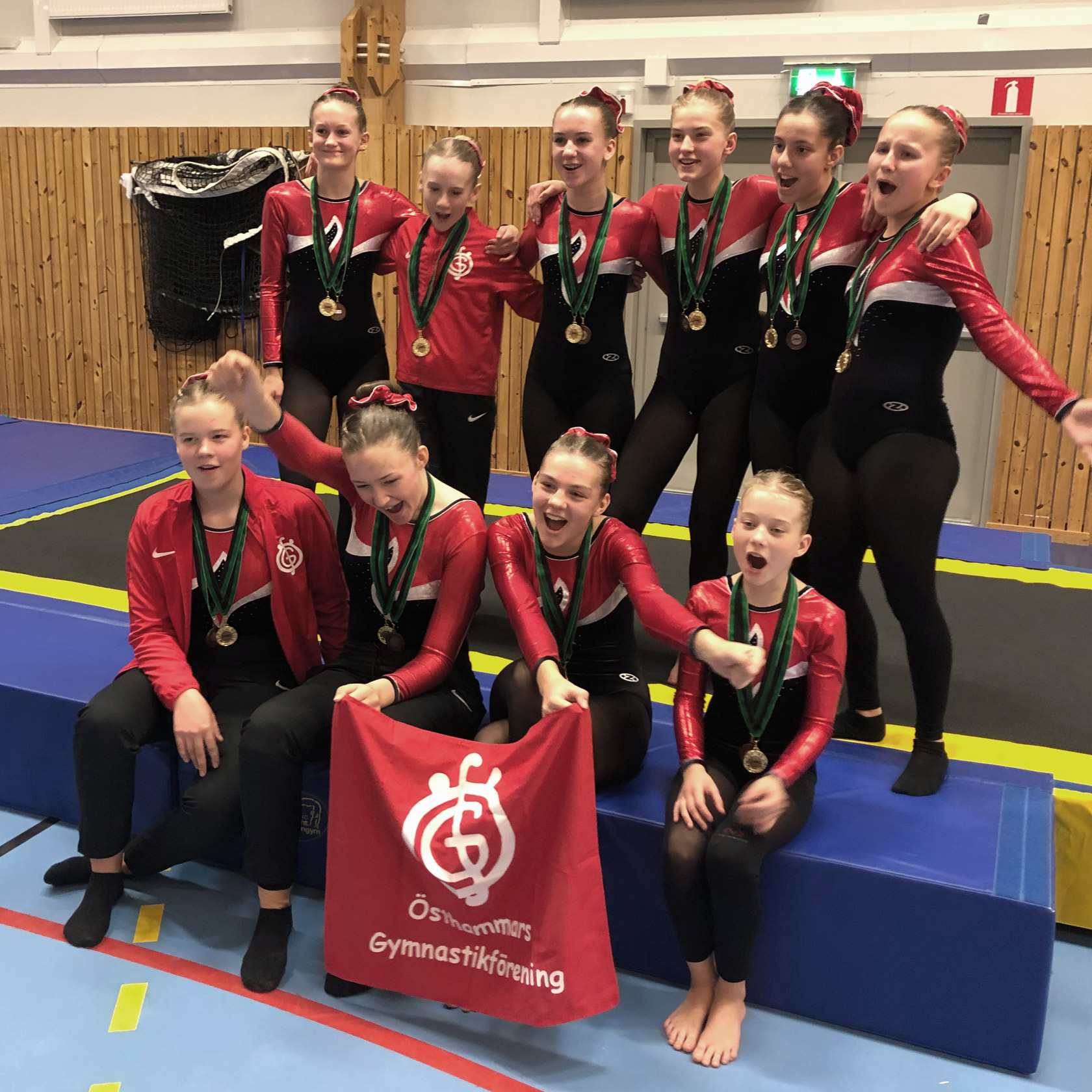En grupp gymnaster En grupp gymnaster