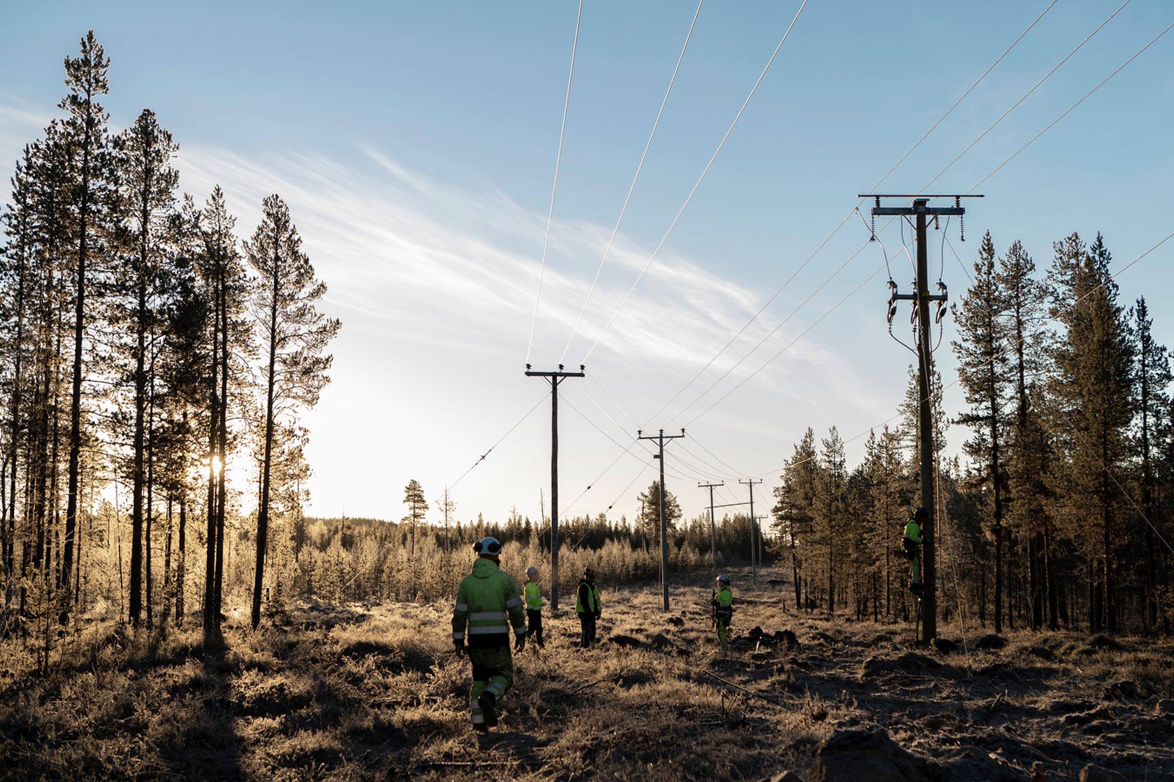 A group of employees inspecting power lines