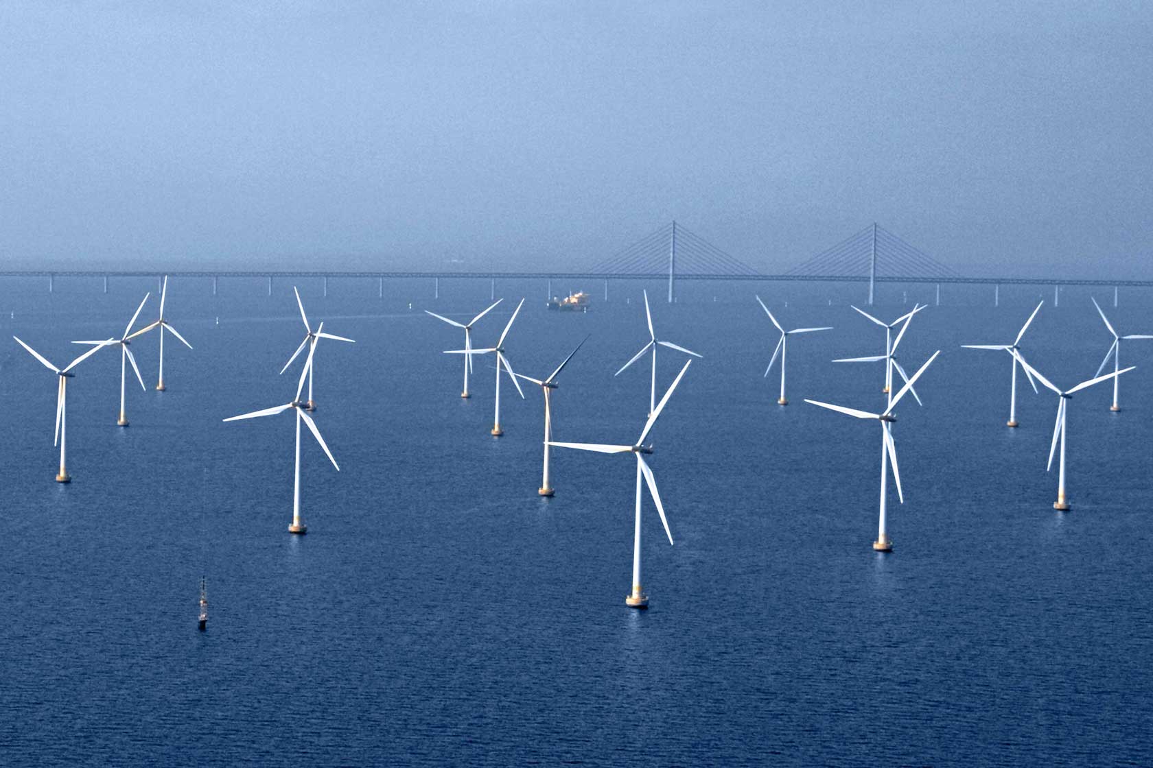The Lillgrund wind farm in Sweden
