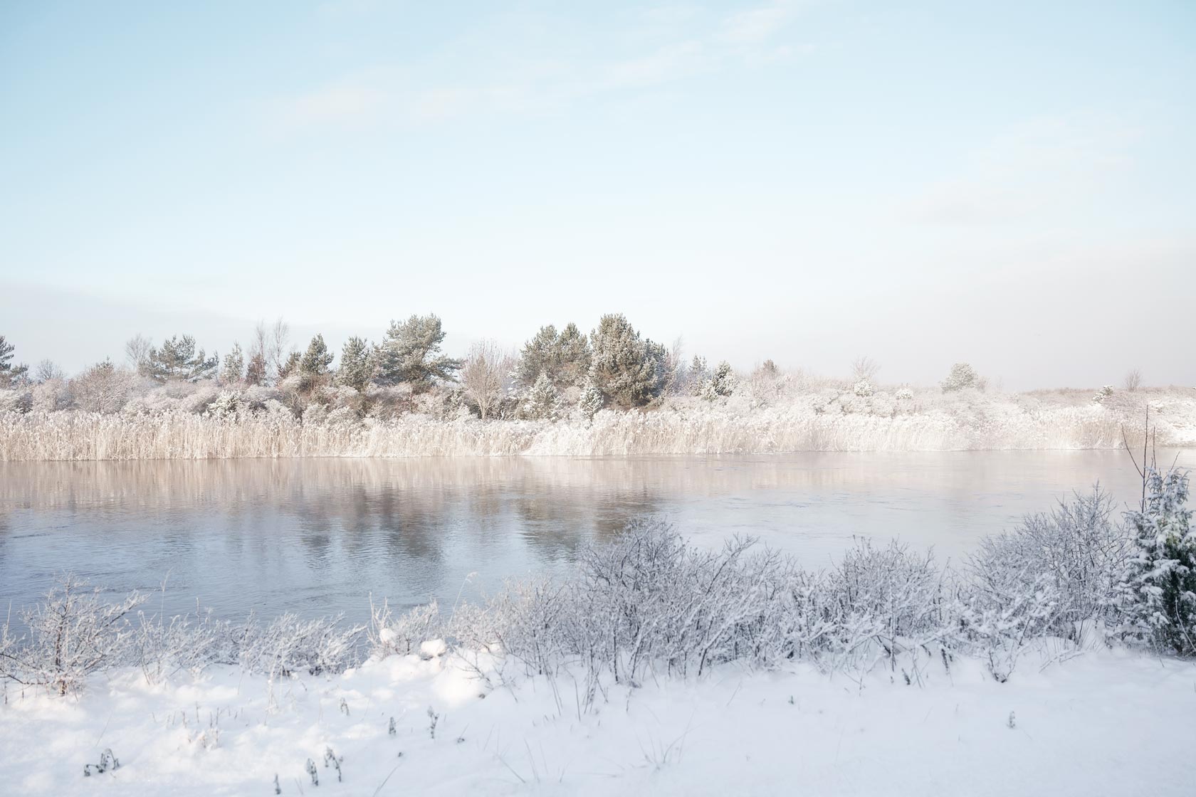 Winter landscape