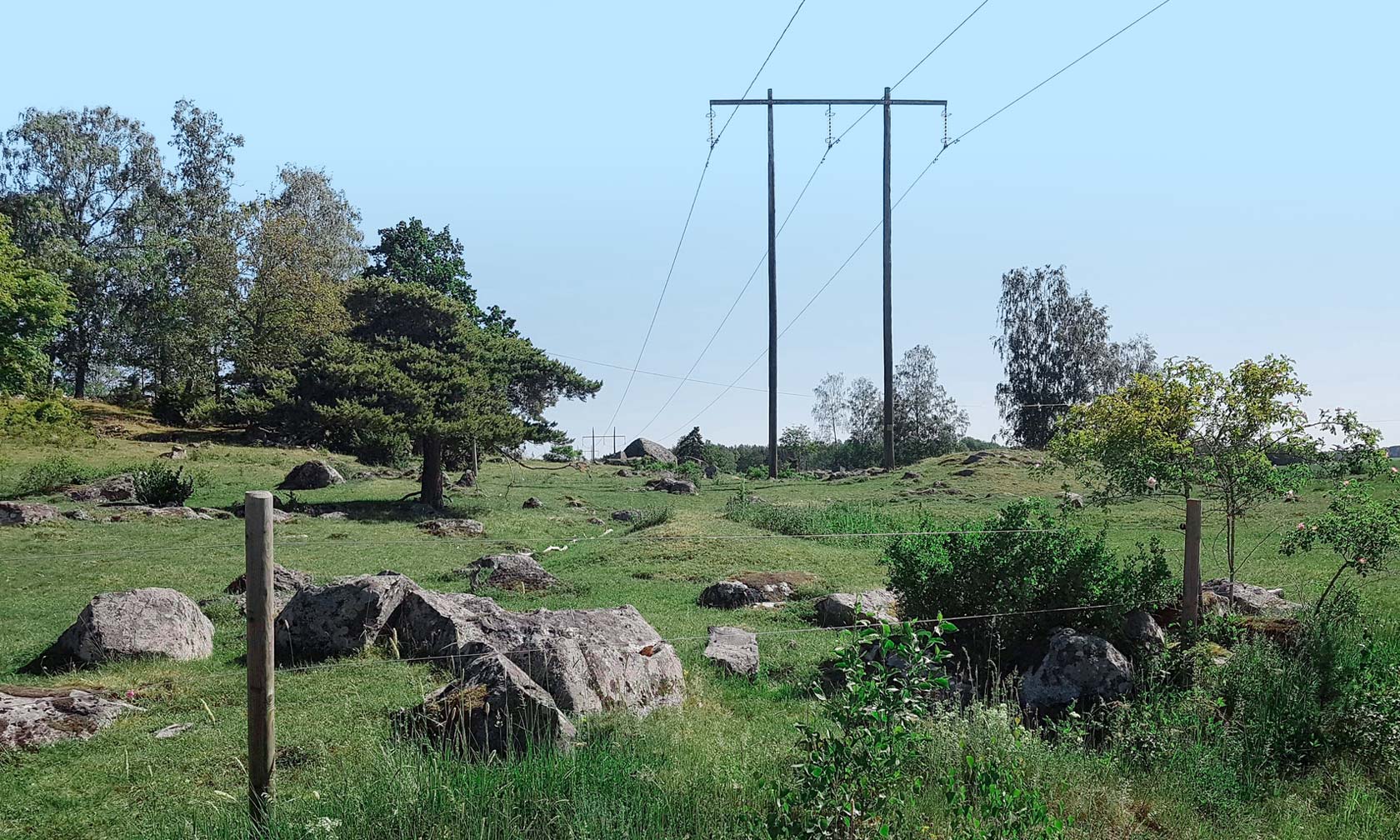 Power lines across a green field