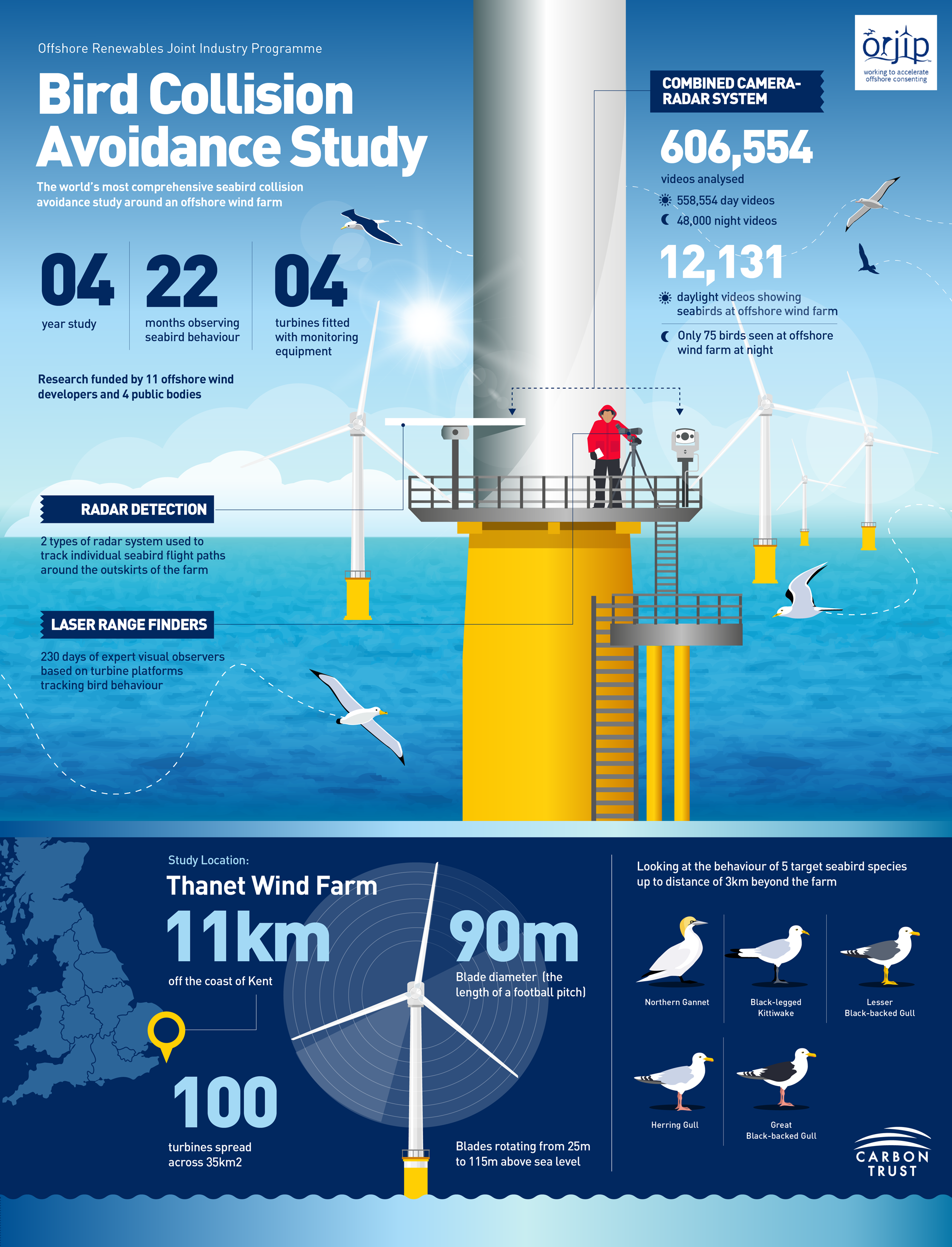 Offshore Wind infographic