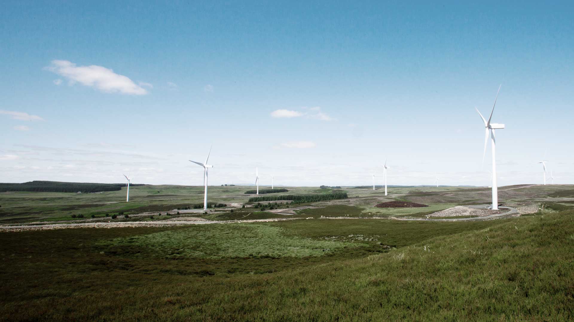The Ray wind farm in the UK