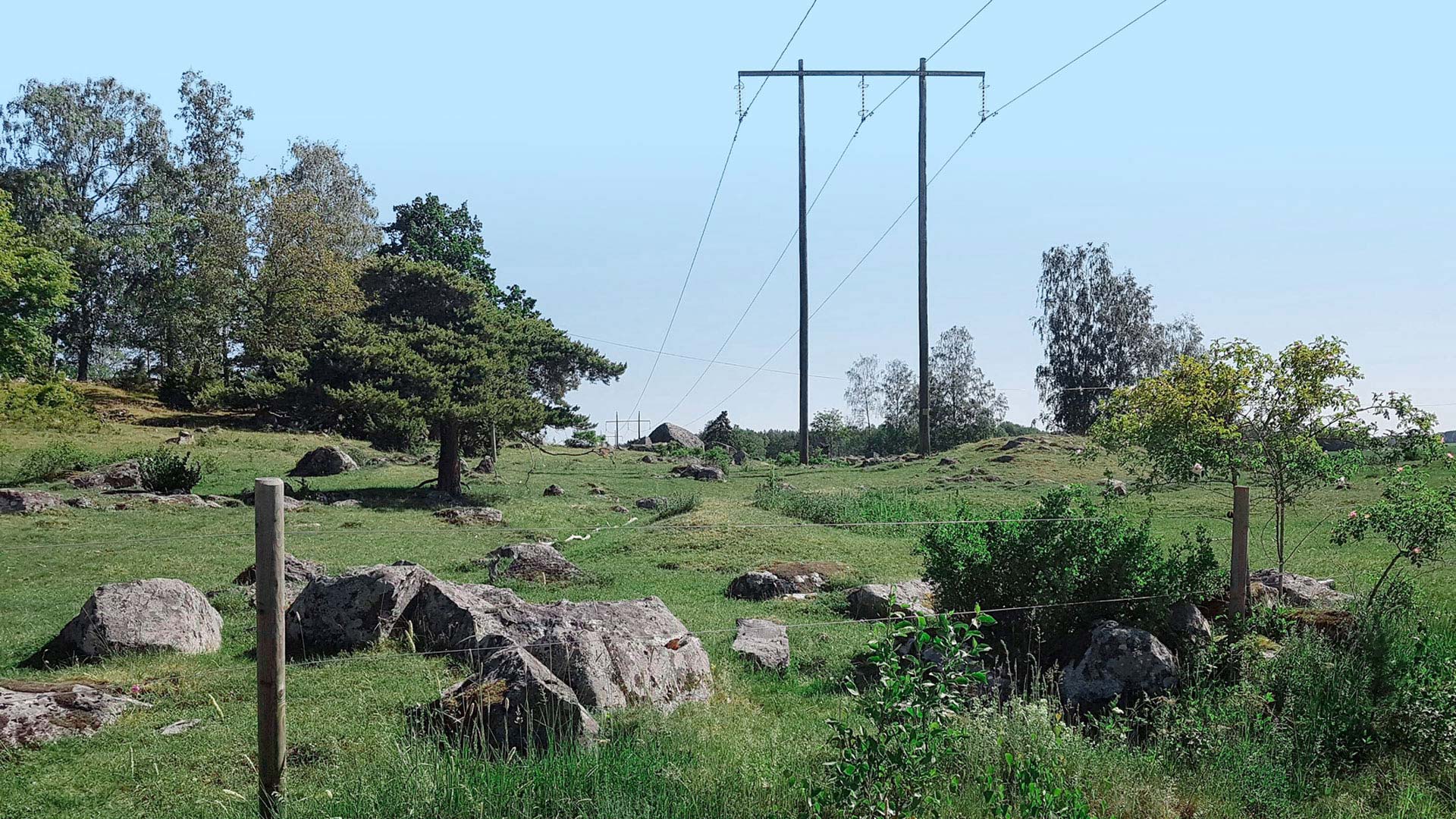 Power lines across a green field