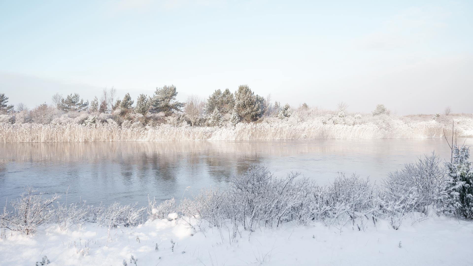 Winter landscape