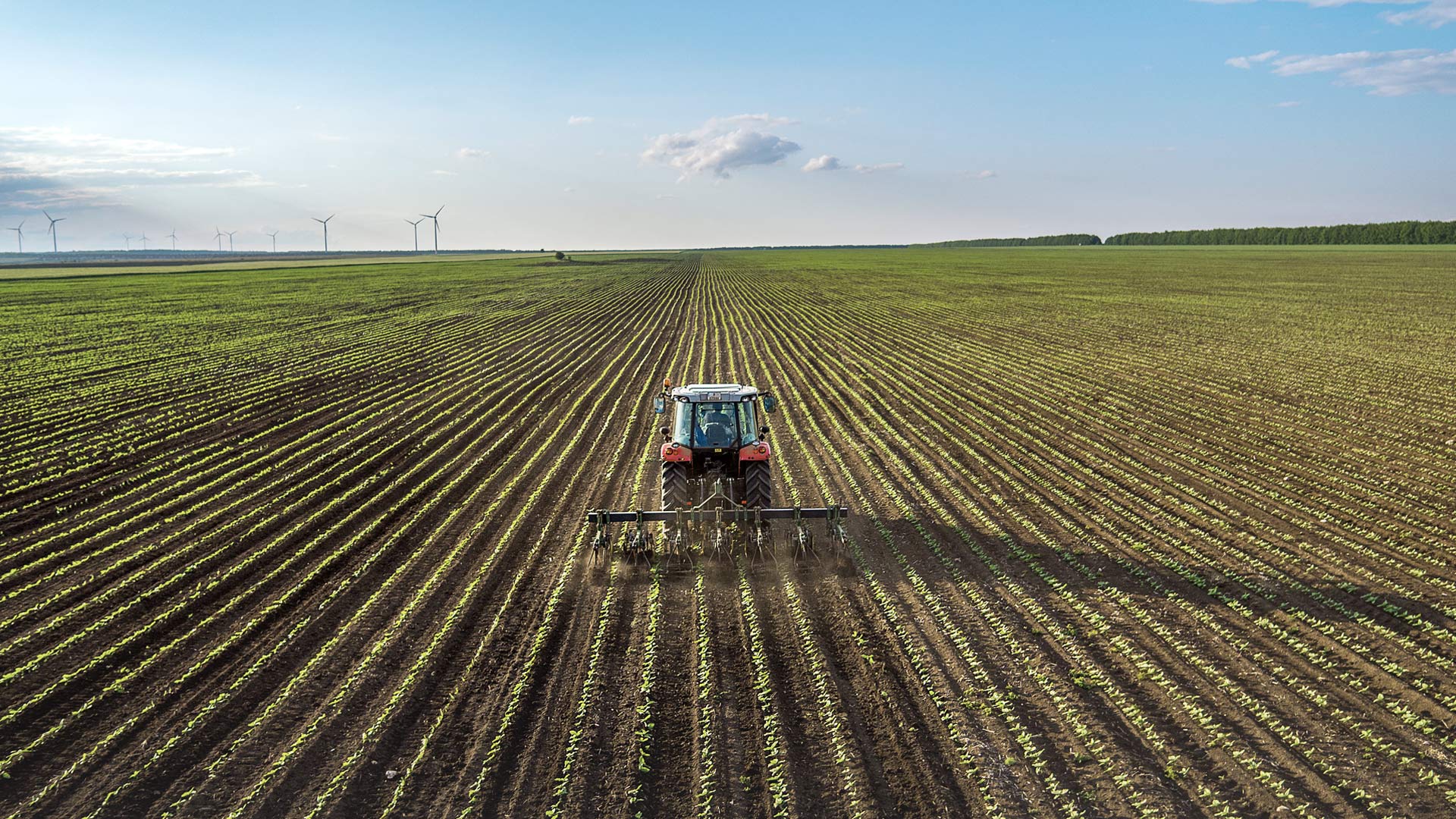 A tractor in a field