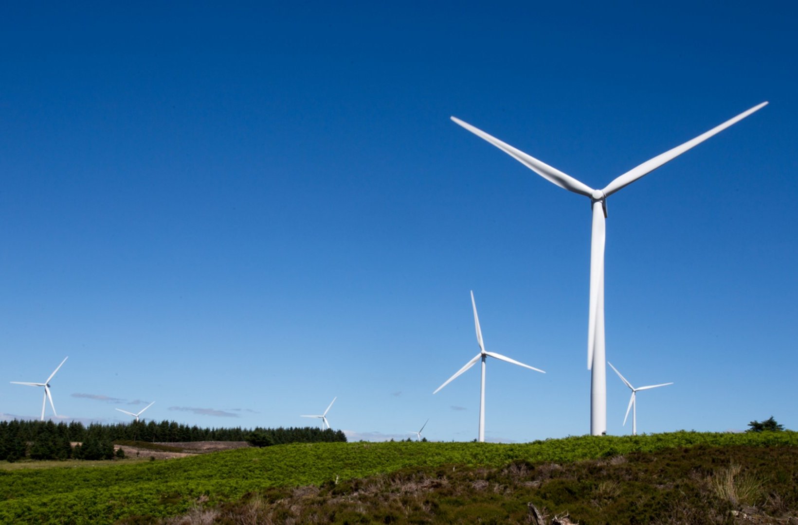 Ray Wind Farm