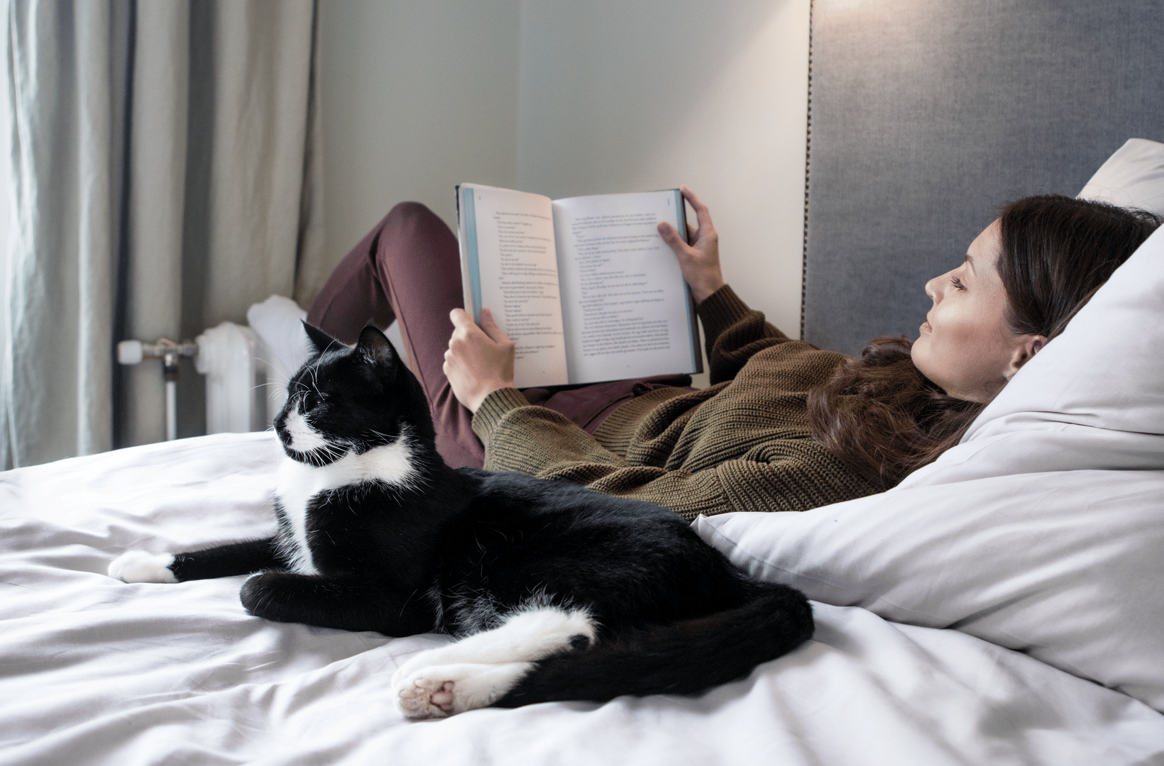 Heat, person, cat, radiator