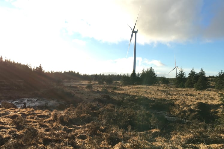 Pen y Cymoedd Peatlands