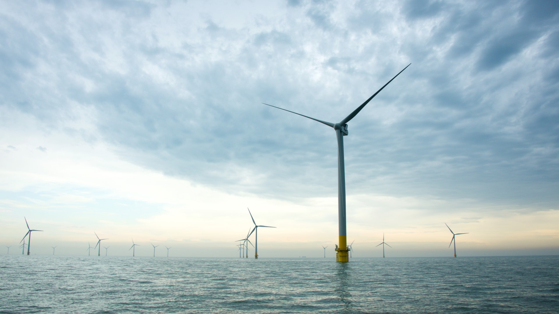 Image of an offshore wind farm