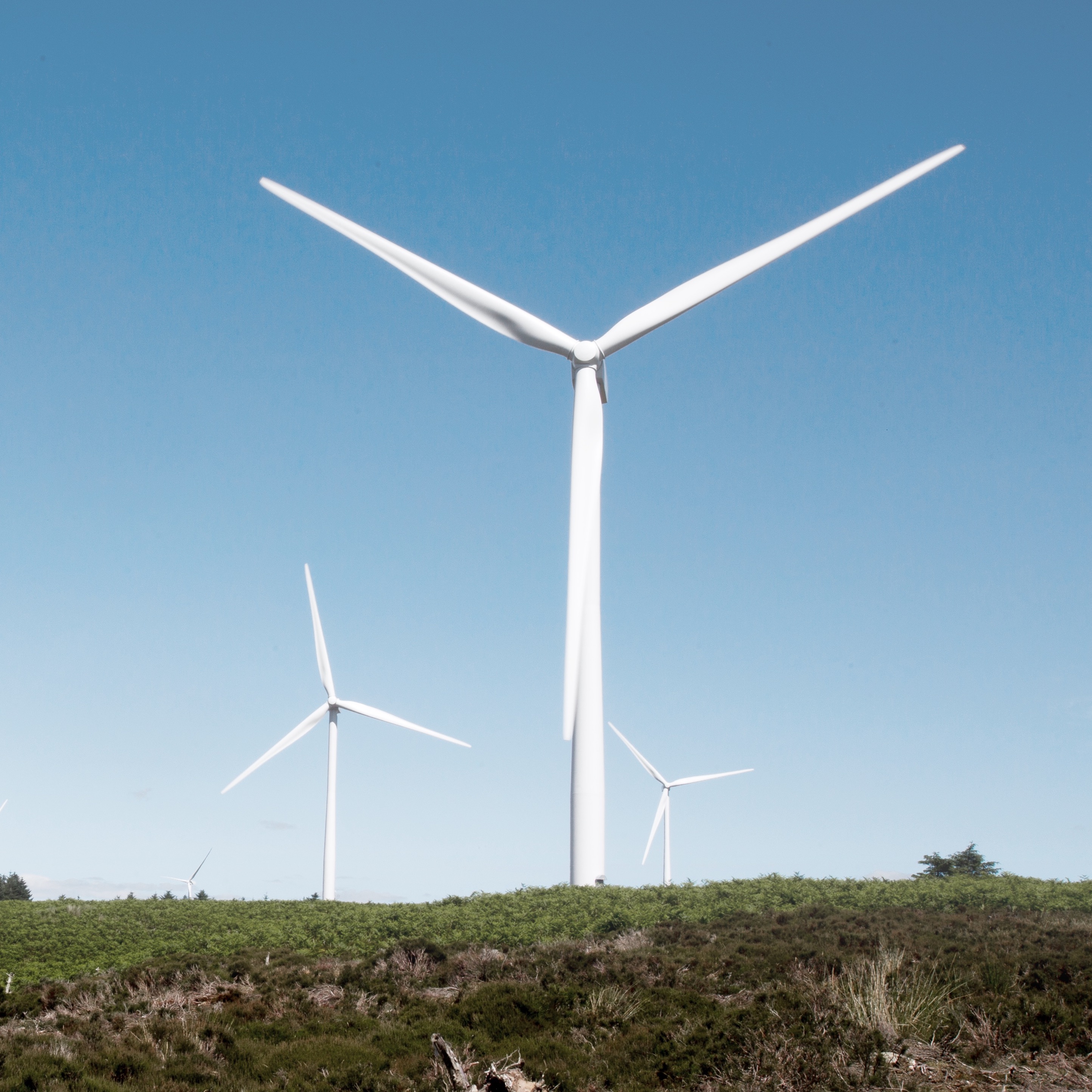 Image of a wind turbine located in a green landscape, with blue skies above.