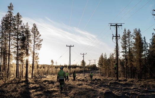 Elnätsarbetare vid kraftledningar i skog. Elnätsarbetare vid kraftledningar i skog.