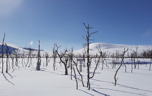 Ett snötäckt landskap med glesa träd och snömätningsutrustning under en klarblå himmel. Ett snötäckt landskap med glesa träd och snömätningsutrustning under en klarblå himmel.